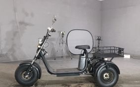 OTHER  BLAZE EV TRIKE  ..