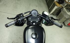 HARLEY XL883N 2010