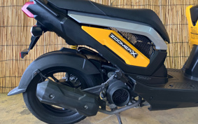 HONDA ZOOMER-X JF38