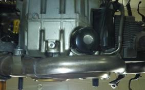 DUCATI MONSTER 1100 EVO 2013