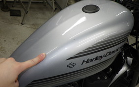 HARLEY XL1200NS 2020
