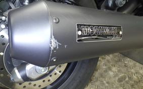 HONDA REBEL 250 2019 MC49