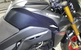 KAWASAKI Z125 PRO 2010 BR125H
