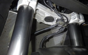 KAWASAKI NINJA 1000SX 2024 ZXT02K