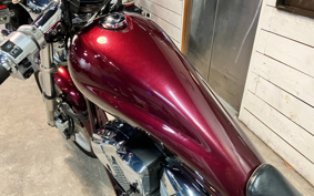 HONDA VT1300CX ABS 2010 SC61