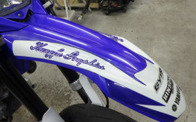 YAMAHA WR250X 2023 DG15J