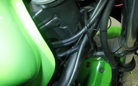 KAWASAKI NINJA 250 EX250L