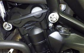 TRIUMPH STREET TRIPLE RS 2025