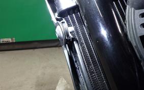 HONDA REBEL 250 2020 MC49