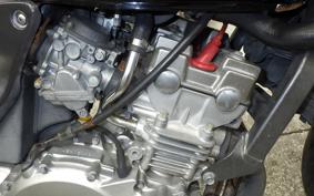 HONDA HORNET 250 2008 MC31