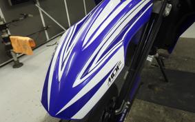 YAMAHA WR250X