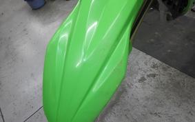 KAWASAKI KX250 2019 KX252E
