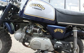 HONDA GORILLA Z50J
