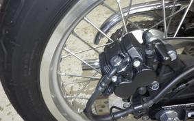 KAWASAKI W800 2025 EJ800E