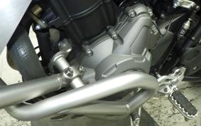TRIUMPH TIGER 900 RALLY PRO 2022