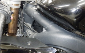 TRIUMPH DAYTONA 675 2009