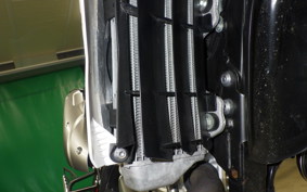 YAMAHA WR250X 2023 DG15J