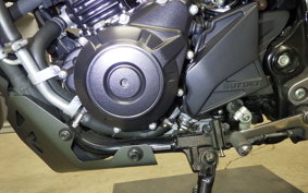 SUZUKI V-STROM 250 A 2024