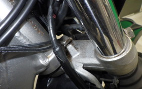 KAWASAKI KLX125 2024 LX125C