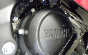 YAMAHA YZF-R15 2025