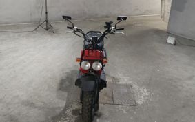 HONDA ZUMAR AF58