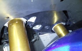 SUZUKI GSX-R1000R A 2017 DM11G