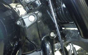 HARLEY FXFBS1870 2024