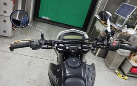 KAWASAKI KLX250 Gen.2 2024 LX250S