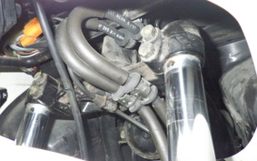HONDA FORZA 250 S MF06