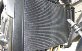 HONDA CB650R E-Clutch 2024 RH17