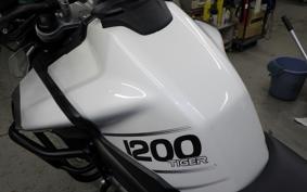 TRIUMPH TIGER EXPLORER 2019