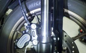 HARLEY FXLRS1920 2024