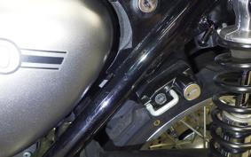 KAWASAKI W800 STREET 2020 EJ800B