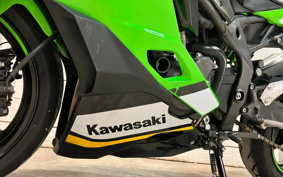 KAWASAKI NINJA ZX-4RR 2025 ZX400P