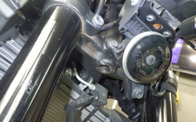 YAMAHA MT-25 A 2024 RG43J