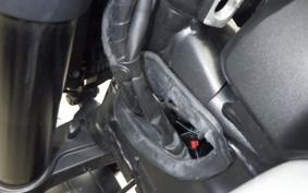 TRIUMPH TRIDENT 660 2022