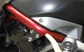 KAWASAKI Z900 2019 ZR900B