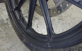 HARLEY XL1200NS 2020