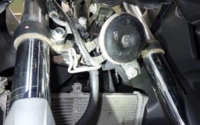 YAMAHA YZF-R25 1999 RG10J