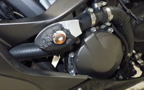 KAWASAKI NINJA ZX-6R A 2025 ZX636G