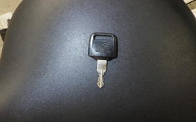 HONDA SOLO 2024 AC17