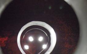 SUZUKI SKYWAVE 250 (Burgman 250) S 2 2021 CJ43A