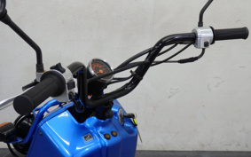 HONDA ZUMAR AF58