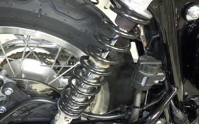 KAWASAKI W800 2025 EJ800E
