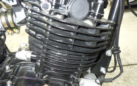 OTHER MUTT250 2021