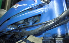 HONDA RACOON