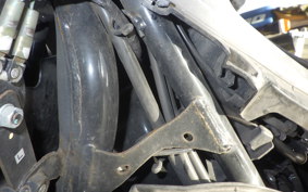HONDA PCX 125 JF81