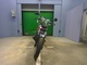 Фото Kawasaki Z400 FX 1981 с японского аукциона