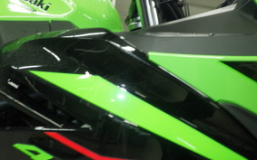 KAWASAKI NINJA 400 2022 EX400G