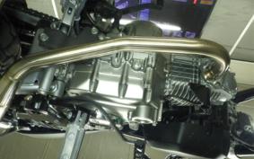 HONDA MONKEY 125 2025 JB05
